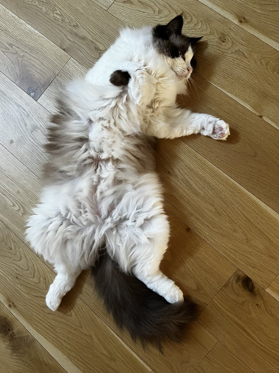 のびのびシエル☀️