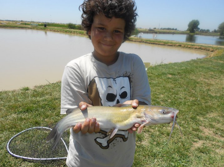 Dom2Cracked tweet media