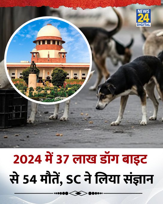 thematrixloop's tweet image. 🚨 SC Takes Note of Dog Bite Crisis: 37 Lakh Cases in 2024, 54 Deaths
➡️ Over 37 lakh dog bite cases reported across India in 2024
➡️ 54 people suspected to have died from rabies
➡️ Supreme Court takes suo motu cognisance, calls data “alarming & disturbing”
➡️ Urgent call for…