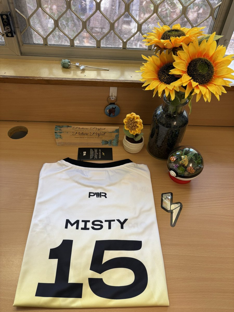 Mistystar15's tweet image. ⚡️PWR Merch! ⚡️
Back at my uni, so was able to pick up the 5th Anniversary Jersey and the Windbreaker from my post office! 💛🖤
#pwrmerch #teampwr #pwr