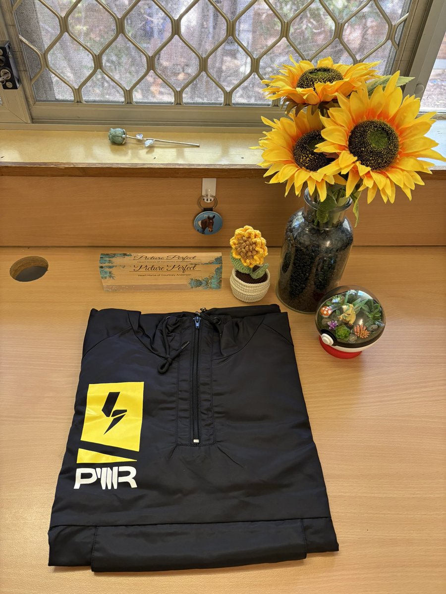 Mistystar15's tweet image. ⚡️PWR Merch! ⚡️
Back at my uni, so was able to pick up the 5th Anniversary Jersey and the Windbreaker from my post office! 💛🖤
#pwrmerch #teampwr #pwr