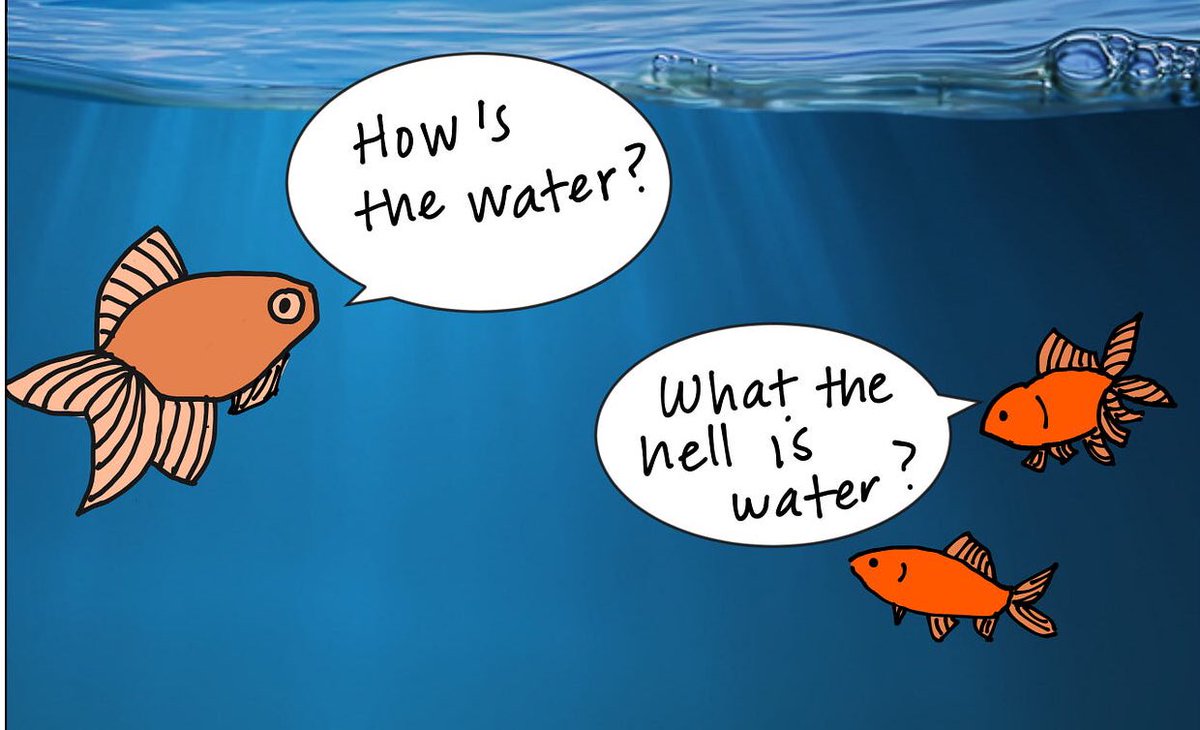 Liam 🇵🇸 (@hezbolsonaro) on Twitter photo 