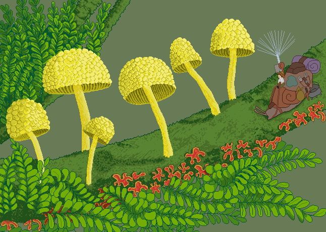 KaPerecins's tweet photo. #pixelart #pixel #forest #mushrooms #fairy #snails https://t.co/uaD7UyY7FX