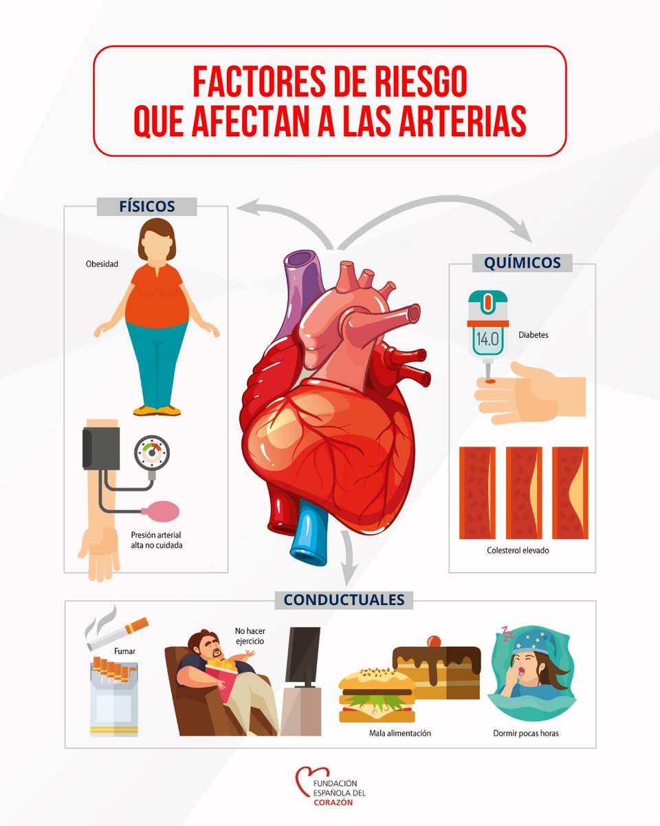 ¿Qué factores de riesgo influyen más en la enfermedad cardiovascular? 
🔴En palabra del Dr. Valentín Fuster, director del CNIC, existen 8 factores de riesgo muy definidos que afectan a la salud cardiovascular.

Te lo contamos en esta infografía 👆

🔗Encuentra el artículo
