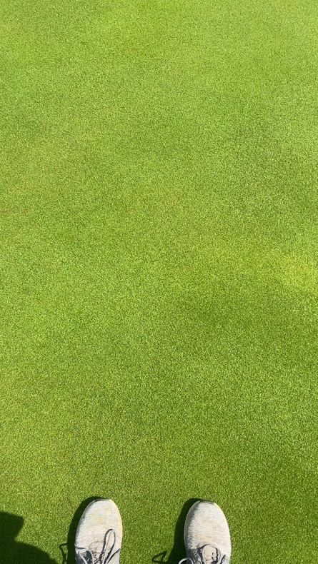 These are the text messages we like seeing right now. Although, be patient with any cultural practices, this summer isn't close to being over yet.