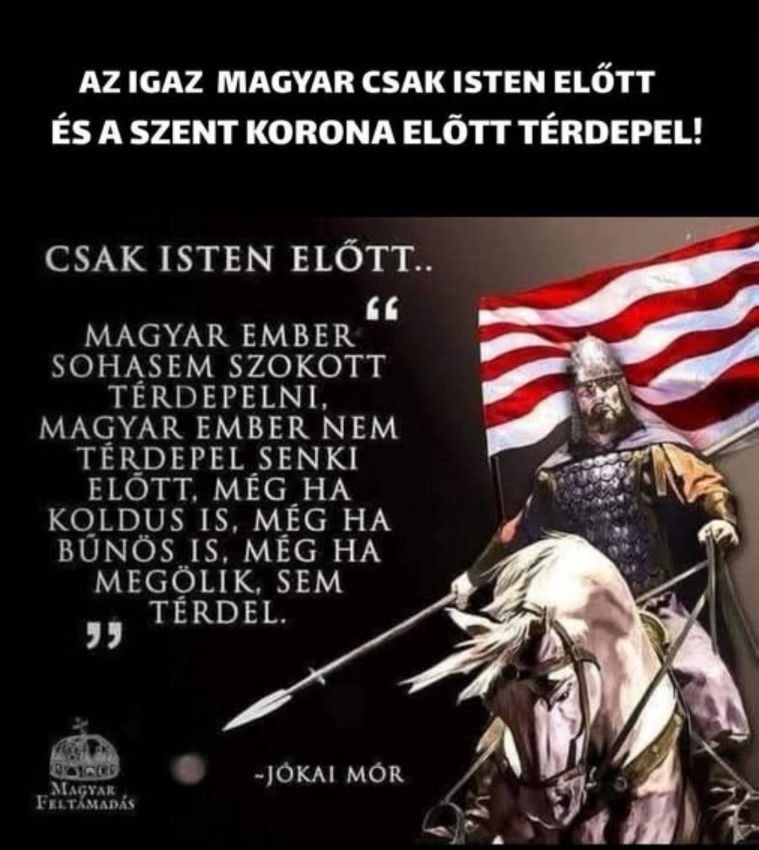 Erika E S tweet media