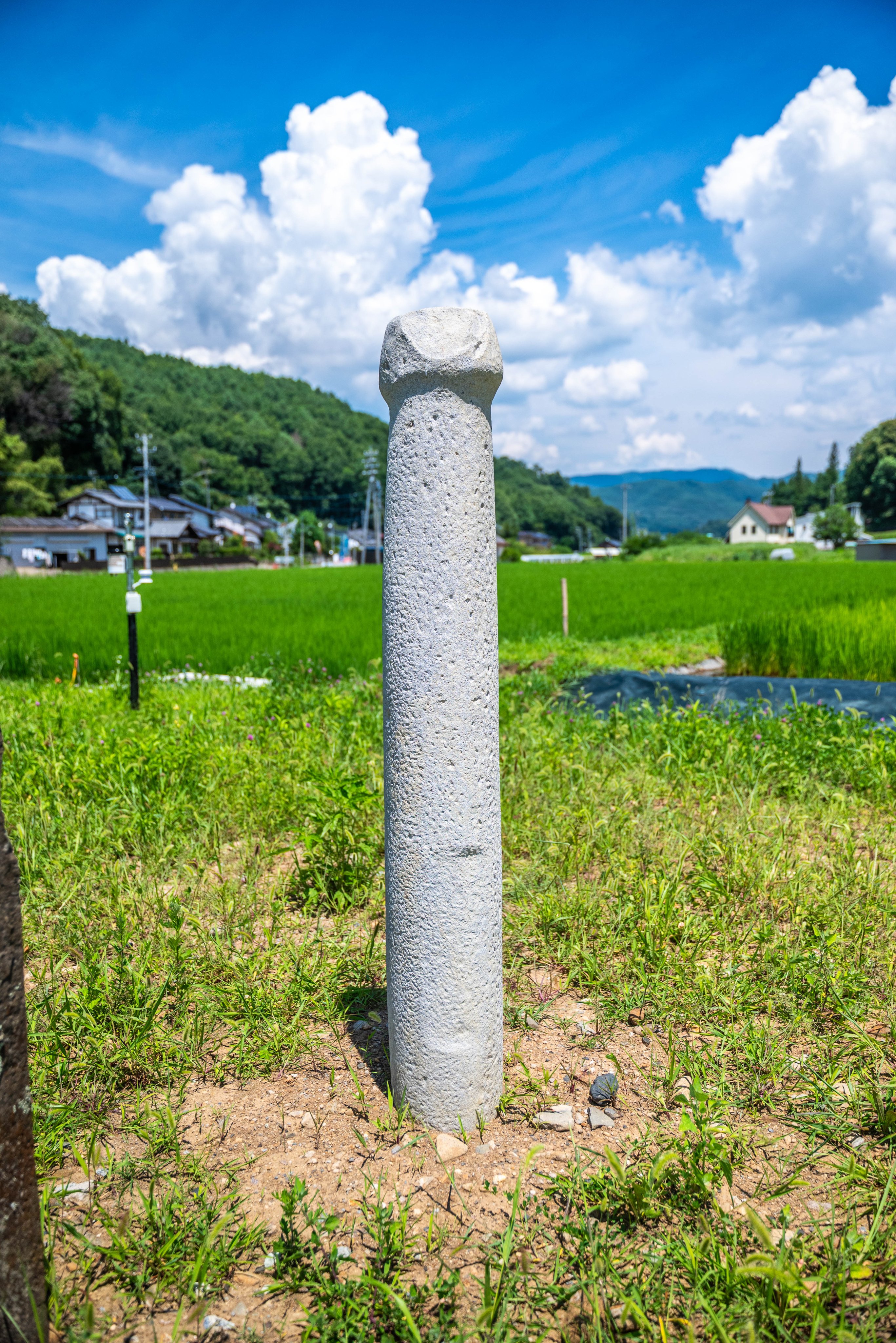 石器　石棒の真ん中　v26 石器 石棒の真ん中 v26 石棒 文化遺産オンライン