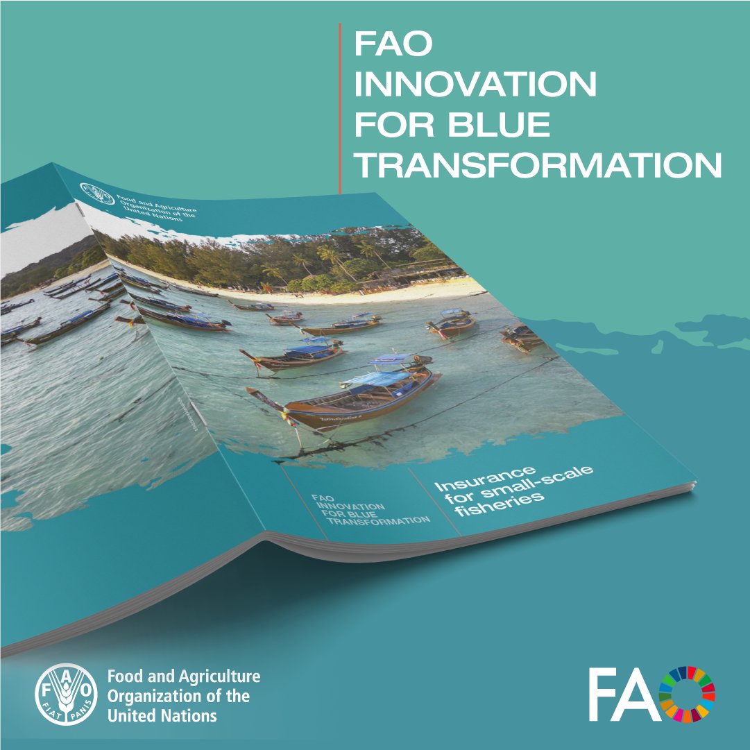 Insurance is key to building resilience in #SmallScaleFisheries.

This issue of <a href="/FAOfish/">Fisheries & Aquaculture</a>’s #BlueTransformation series explains why, highlighting models, policies &amp; practical steps to expand coverage and protect livelihoods.

Learn more 👉 doi.org/10.4060/cd3316…