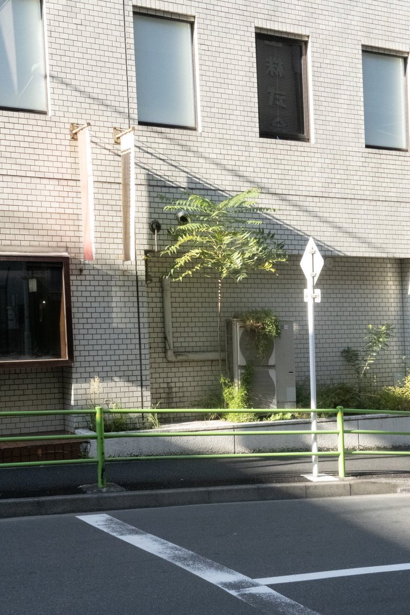 제곱이 (@thesquareoftwo) on Twitter photo 