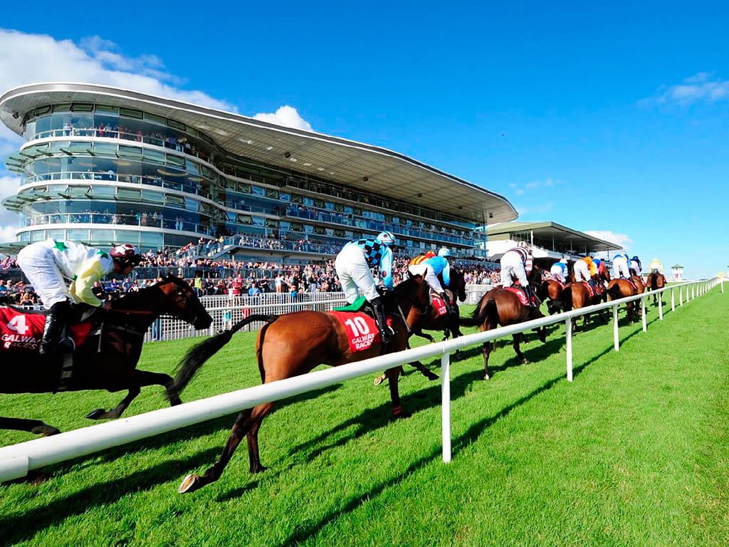 Equine MediRecord (EMR) (@equinemedirec) on Twitter photo The very best of luck to all our <a href="/EquineMediRec/">Equine MediRecord (EMR)</a> clients who have horses running this week <a href="/Galway_Races/">Galway Races</a> 🐎
#HorseRacing #GalwayRaces The very best of luck to all our <a href="/EquineMediRec/">Equine MediRecord (EMR)</a> clients who have horses running this week <a href="/Galway_Races/">Galway Races</a> 🐎
#HorseRacing #GalwayRaces