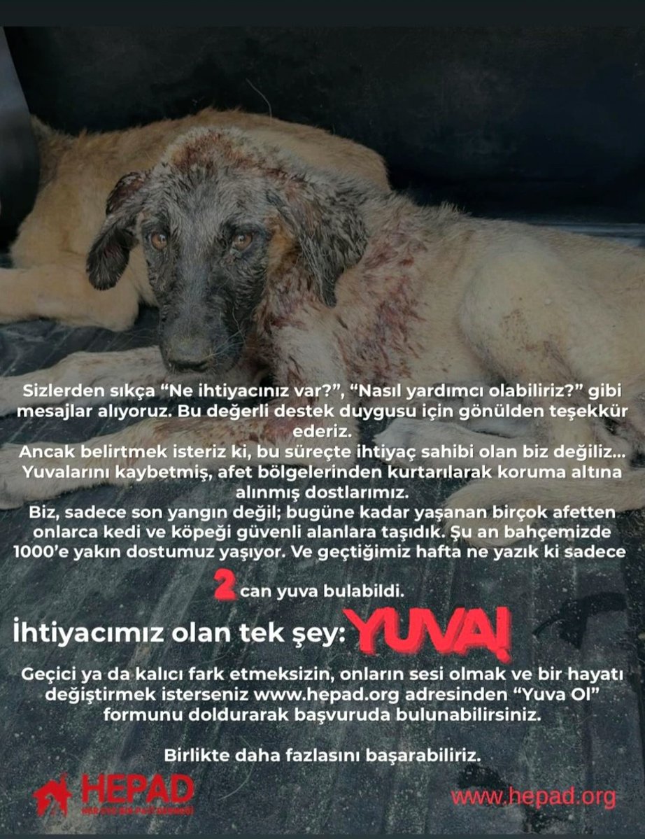 hepad.org/yuva-ol/