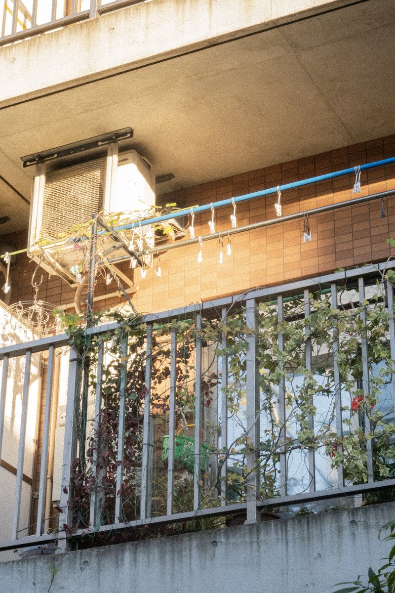 제곱이 (@thesquareoftwo) on Twitter photo 