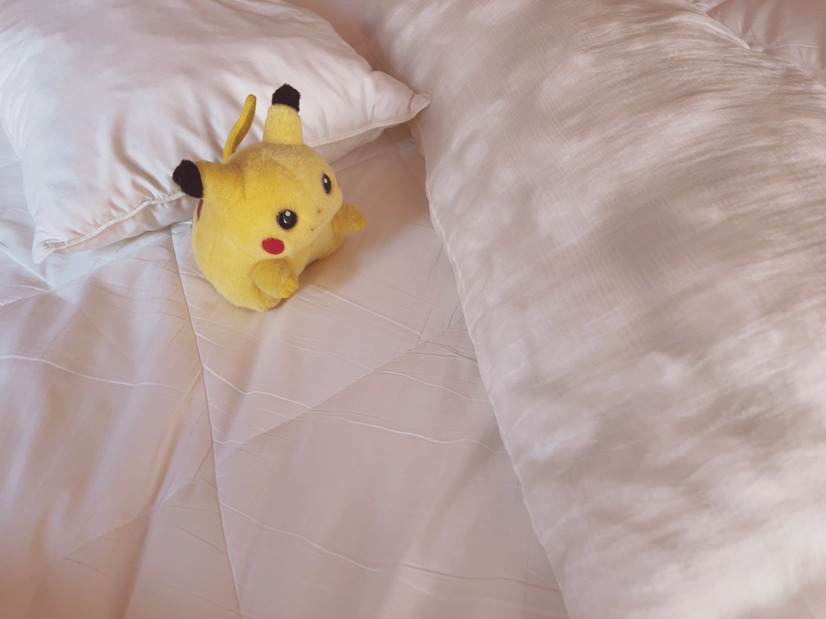 piopio_PIKA's tweet image. ぜんぶ　お洗濯です🛏️
