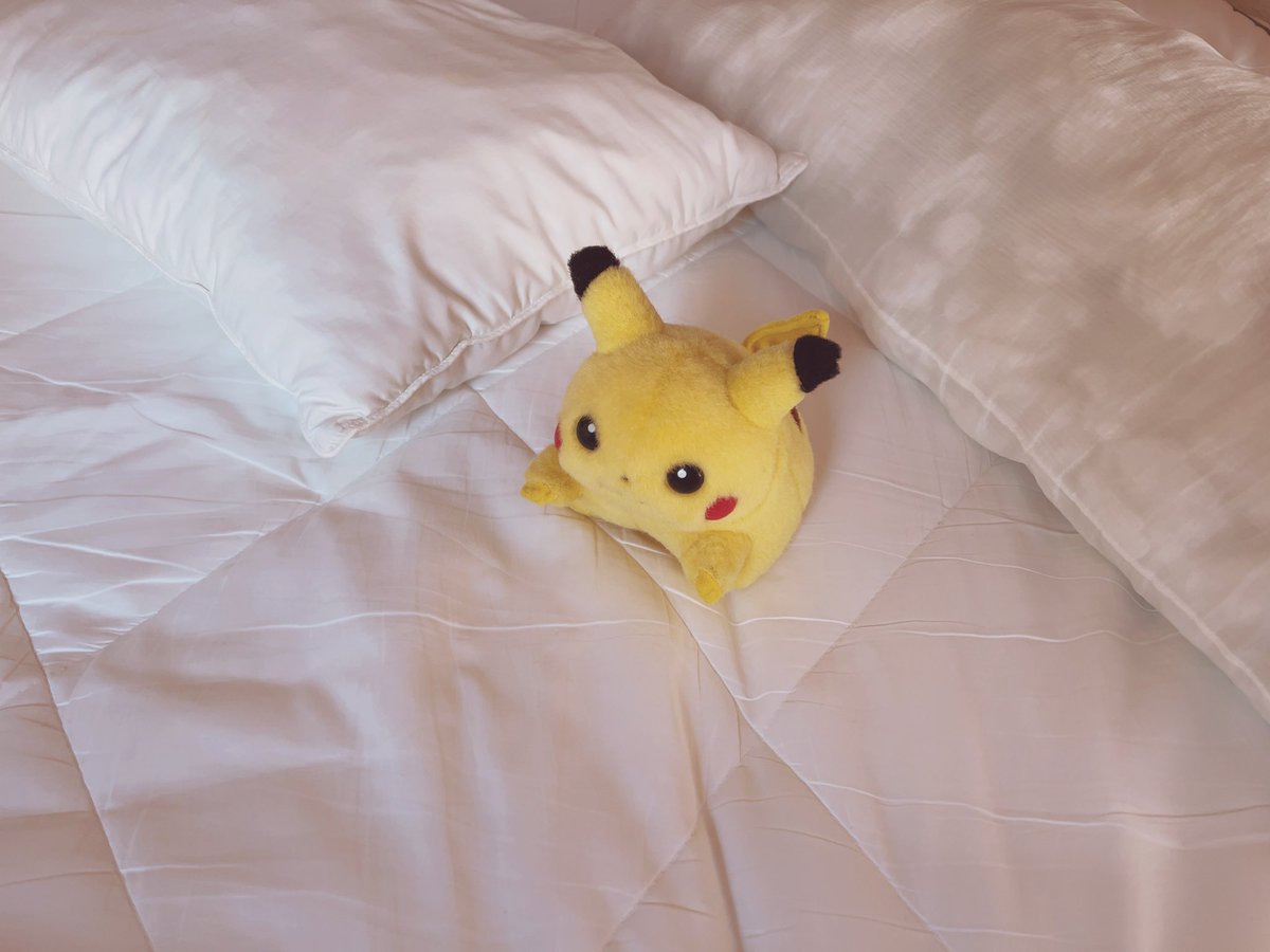 piopio_PIKA's tweet image. ぜんぶ　お洗濯です🛏️