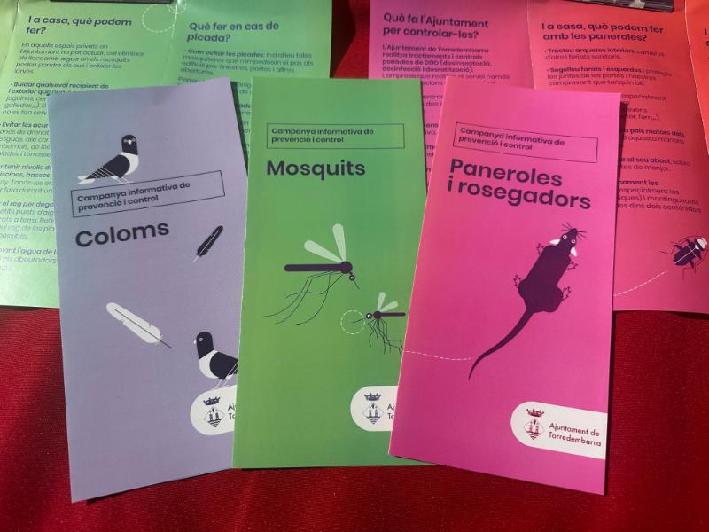 🦟 #Bondia| Campanya informativa per a la prevenció de plagues aquest estiu a #Torredembarra

Avui, de 10 a 13 h, parada informativa al Casal Municipal de la Marítima.

+ ℹ f.mtr.cool/sfxrbpzeea

📷 Anna F.