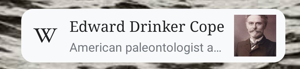 anvyrd's tweet image. Today&apos;s wikipedia article is so me