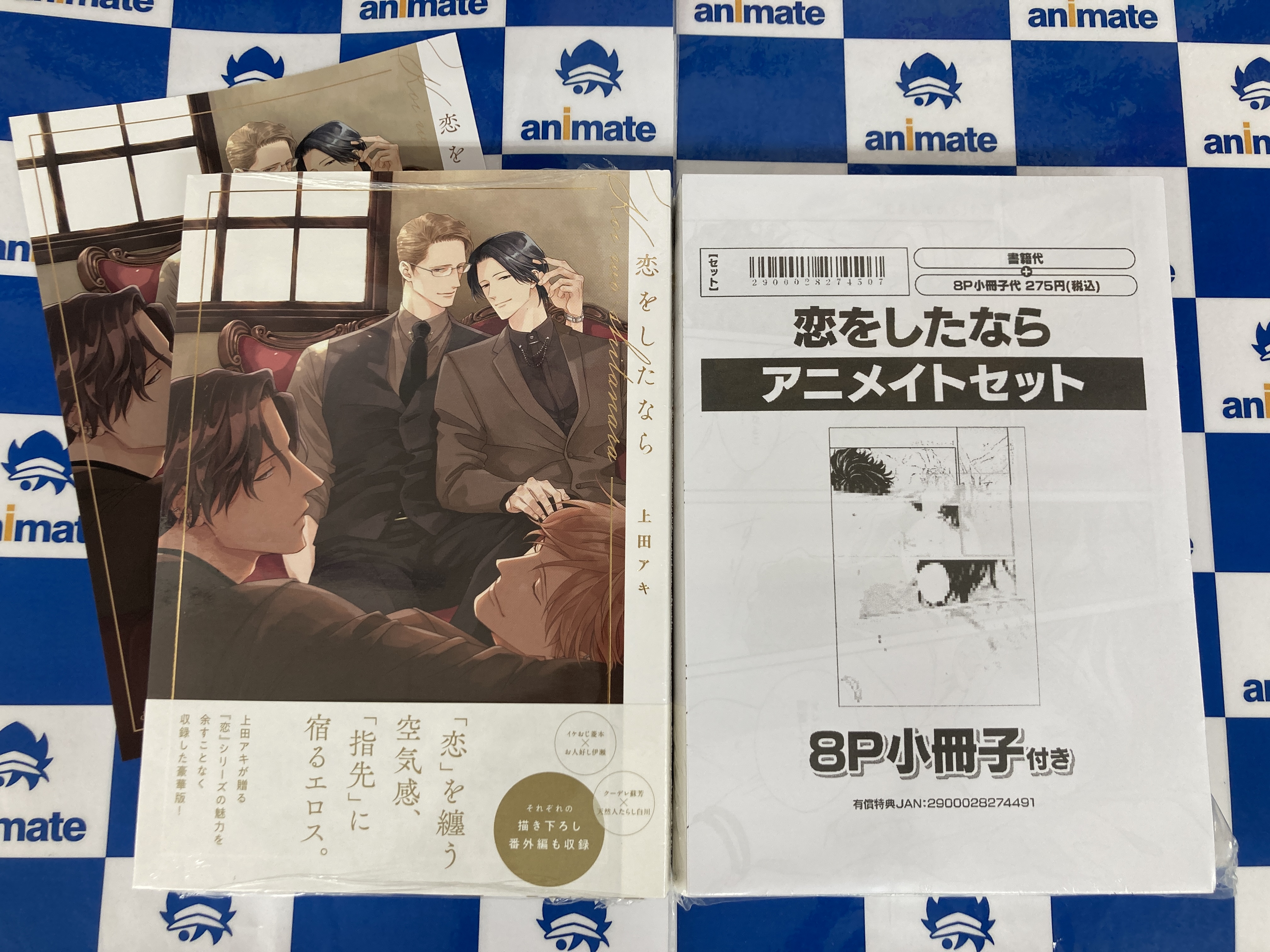 きんとうか 公式 アニメイト 特典小冊子 セット Amazon.co.jp