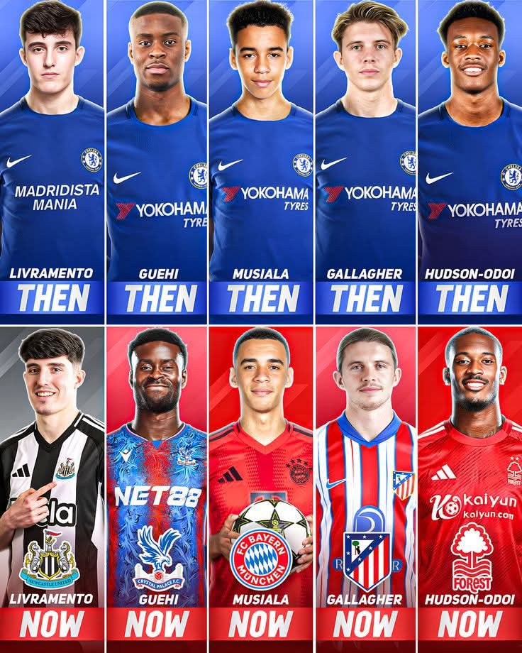 EgwemiCFC's tweet image. Which of this Cobham Graduates exceeded your expectations?
• Livramento
• Guehi
• Musiala
• Gallagher
• Hodson-Odoi
Which One?🤓