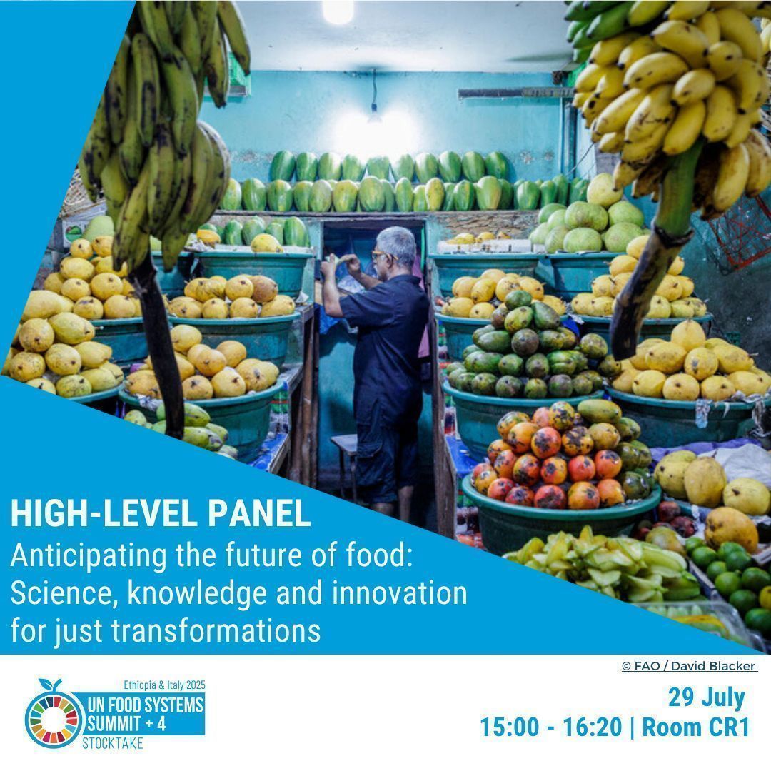 FAO Chief Scientist (@faosciencechief) on Twitter photo 📢 Happening TODAY, 29 July at 15:00 #UNFSS+4
Join the High-Level Panel:
"Anticipating the future of food: Science, knowledge and innovation for just transformations" featuring <a href="/UN_CFS/">CFS</a>, <a href="/CGIAR/">CGIAR</a>, <a href="/CGIARPolicy/">CGIAR Policy Innovations</a>, <a href="/FAO/">Food and Agriculture Organization</a> & the UNFSS Scientific Advisory Group.
📺 buff.ly/OAjSh0U 📢 Happening TODAY, 29 July at 15:00 #UNFSS+4
Join the High-Level Panel:
"Anticipating the future of food: Science, knowledge and innovation for just transformations" featuring <a href="/UN_CFS/">CFS</a>, <a href="/CGIAR/">CGIAR</a>, <a href="/CGIARPolicy/">CGIAR Policy Innovations</a>, <a href="/FAO/">Food and Agriculture Organization</a> & the UNFSS Scientific Advisory Group.
📺 buff.ly/OAjSh0U