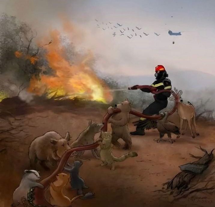 #istanbulYanıyor
Kadınları koruyamıyorsunuz ;
Çocukları koruyamıyorsunuz...
Sokak canlılarını koruyamıyorsunuz...
Ağaçları, ormanları da öyle‼️
#İzmirYanıyor #KarabükYanıyor

Vel hasıl kelam #TürkiyeYanıyor 

Ulannn siz ne işe yarıyorsunuz ⁉️