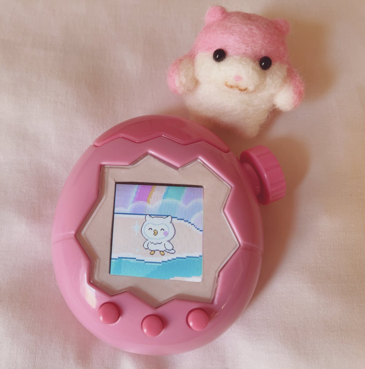 piopio_PIKA's tweet image. たまパラはじめてのそら族は
ほーほっちでした🦉
真っ白なほーほっちかわい🦉