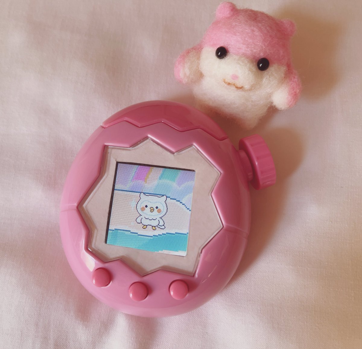 piopio_PIKA's tweet image. たまパラはじめてのそら族は
ほーほっちでした🦉
真っ白なほーほっちかわい🦉
