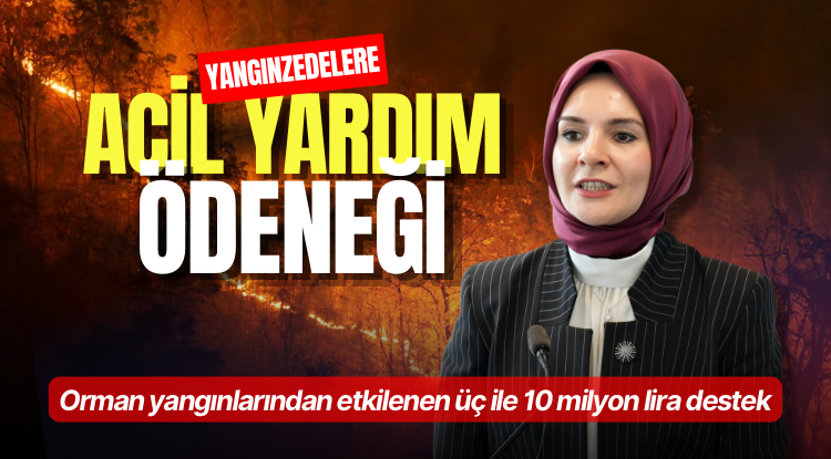 Orman yangınlarından etkilenen üç ile 10 milyon lira destek

Detaylar: liderhaber.com.tr/orman-yanginla…