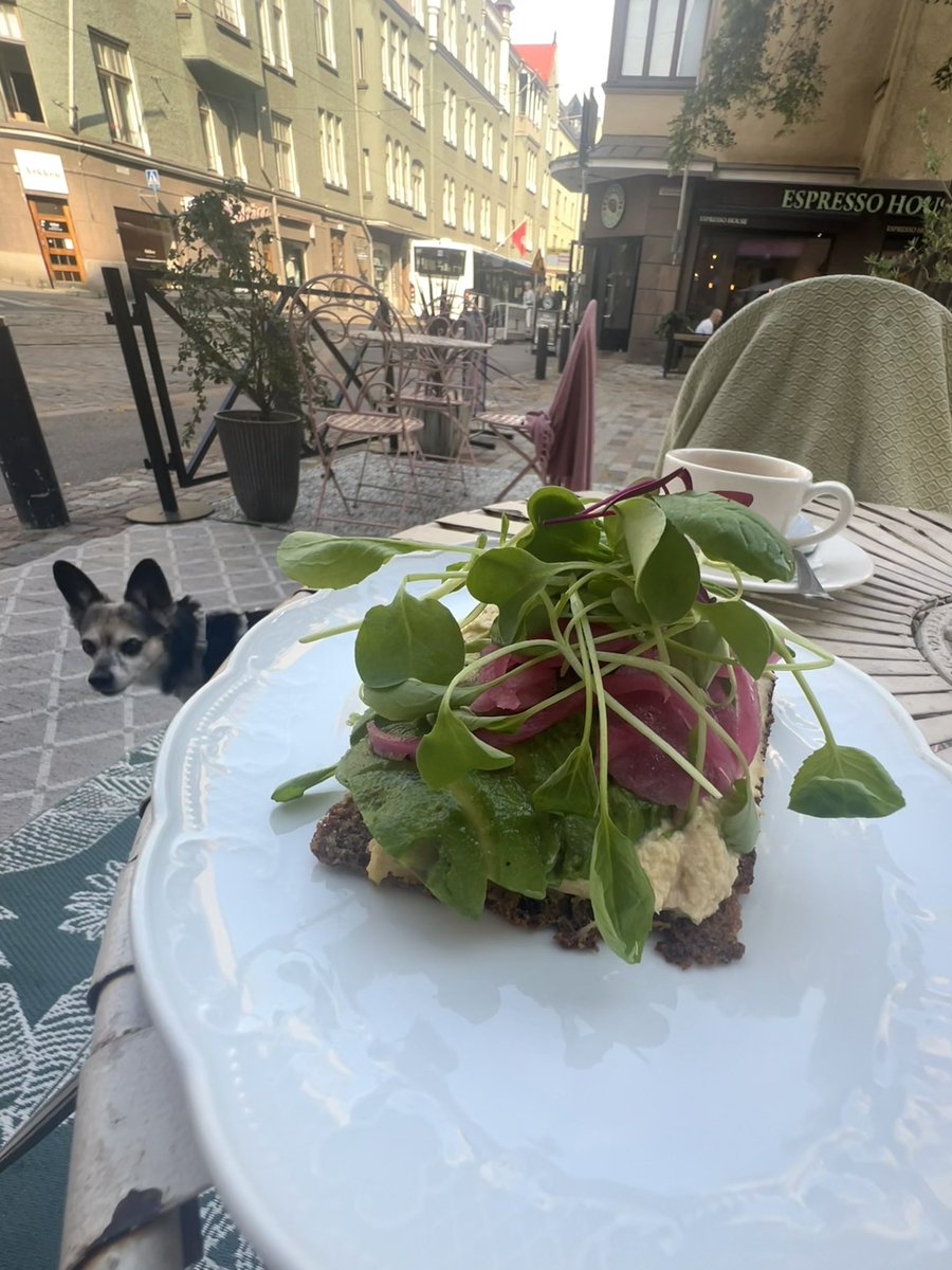 elämän tarkoitus on kesäinen breku punavuoressa doggon kanssa