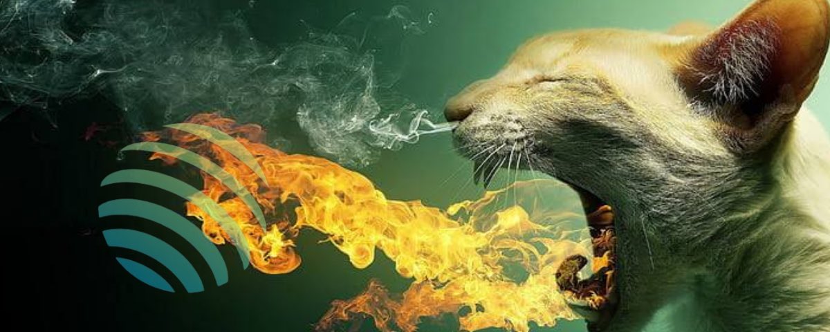 gm gm 

woke up to see the $BURN community having another big win 

indeed $burn has a strong community 
thanks to <a href="/MeteoraAG/">Meteora</a> 

and congratulations to <a href="/Marchisko/">BricePol</a> 

we this you wanna miss this huge runner? 

bid on this dip guys, its a your chance to burn yourself outta the