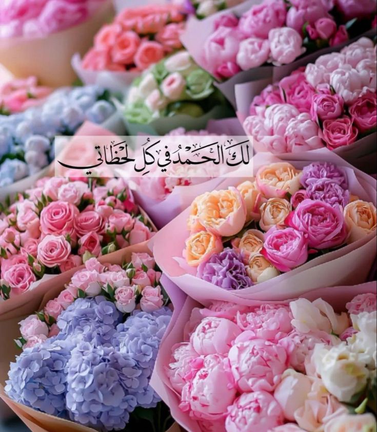ِ
”إن اللّٰه يُحب أن يُحمَد“

- فالحمد للّه قولاً وفعلاً وشكراً ورضا الحمد للّه دائماً وأبداً🩷..

#اذكروا_الله_يذكركم🫶🏻🪷