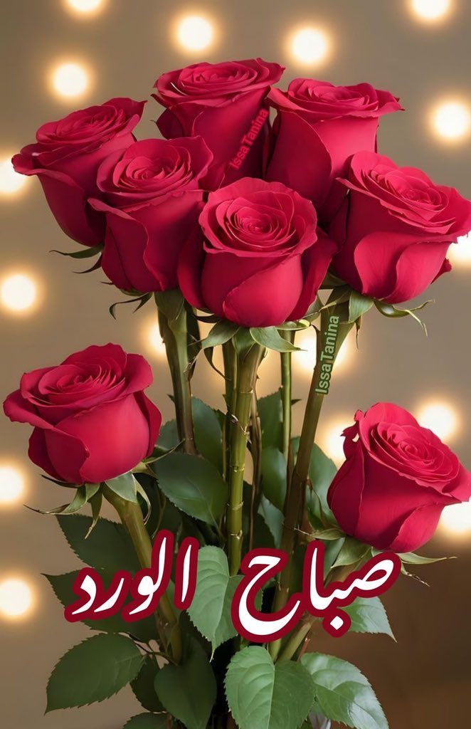 jory05311's tweet photo. @adelabd90784894 https://t.co/cm7MwgzCB7