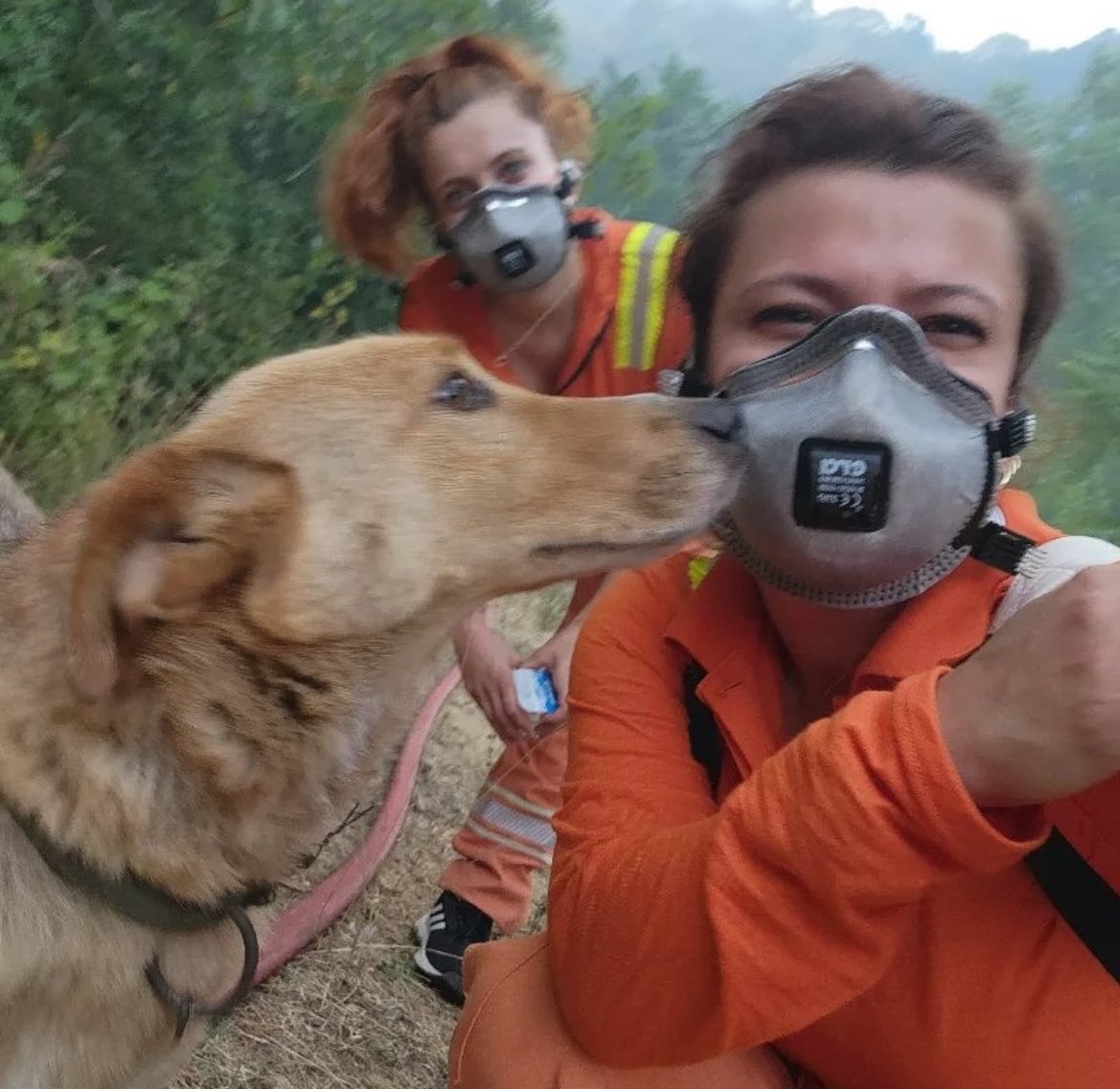 Dünyanın en güzel fotoğrafı bu olabilir…
Alevlerin içinden kurtarılan bir can dostumuz, kendisini hayata döndüren gönüllü arkadaşımızın yanağına teşekkür öpücüğü konduruyor.
Yüreğinizdeki güzellik yüzünüze yansımış.
Tebessümünüz hiç solmasın. 💚
#OrmanVatandır #ormanyangını