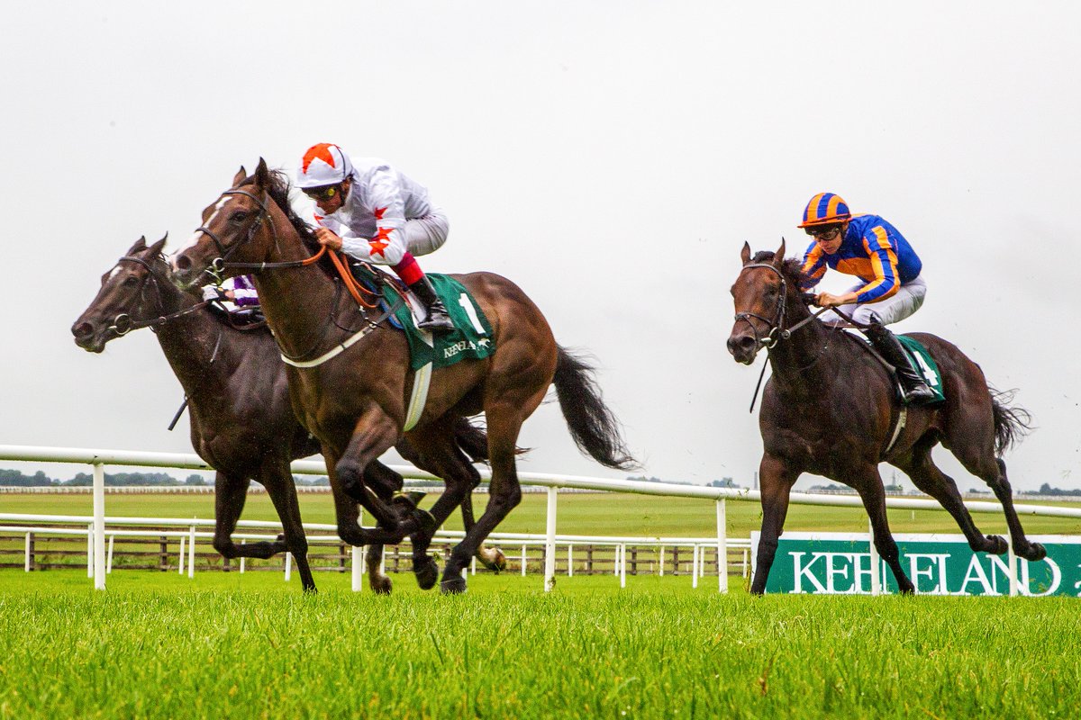 course_ni's tweet image. GOODWOOD Day One Darts
1.20 ew Masoun 8-1
1.50 ew Andab 8-1
2.30 Jonquil 5-2 (Trixie)
3.05 Scandinavia 5-2 (Trixie)
3.45 Redorange 5-1
4.20 Naval Light 6-4
4.55 Mahra's Love 4-1
5.30 Dubai Treasure 5-2 (Trixie)
#Trixie #Placepot #Singles