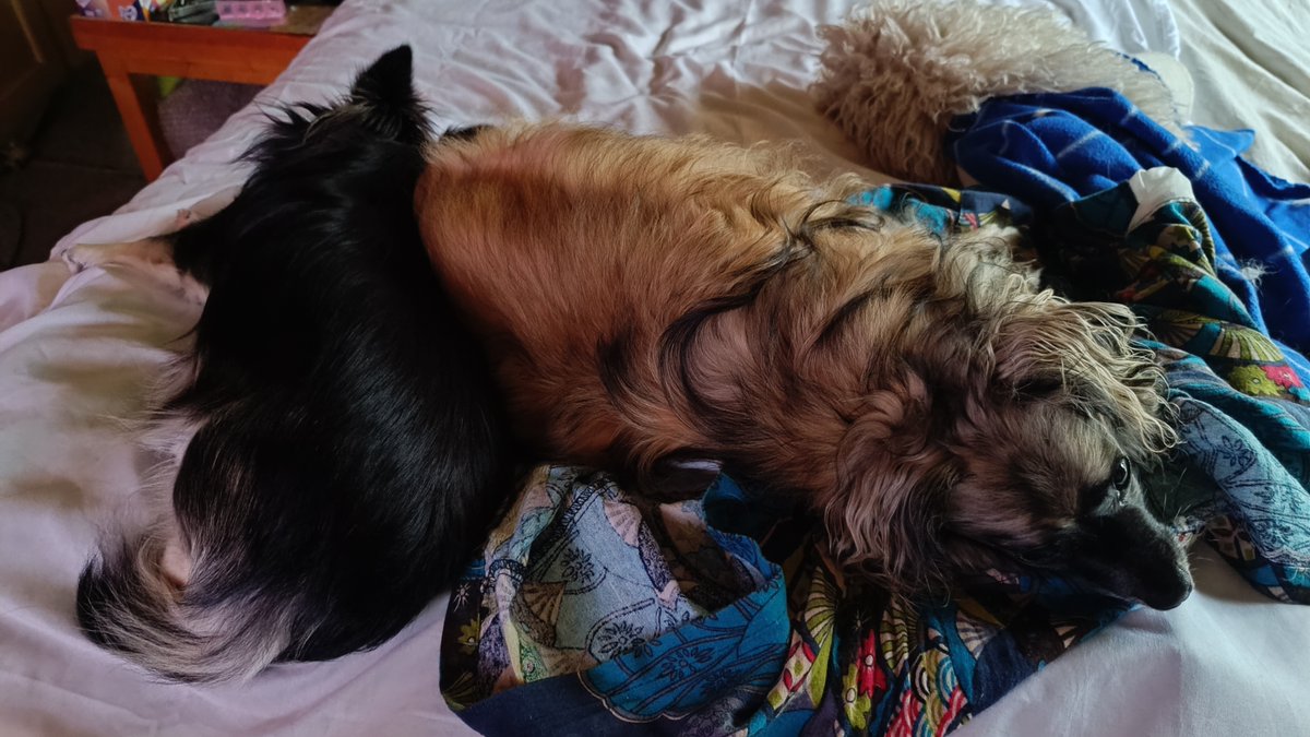Revontulet69's tweet image. Ljubav.