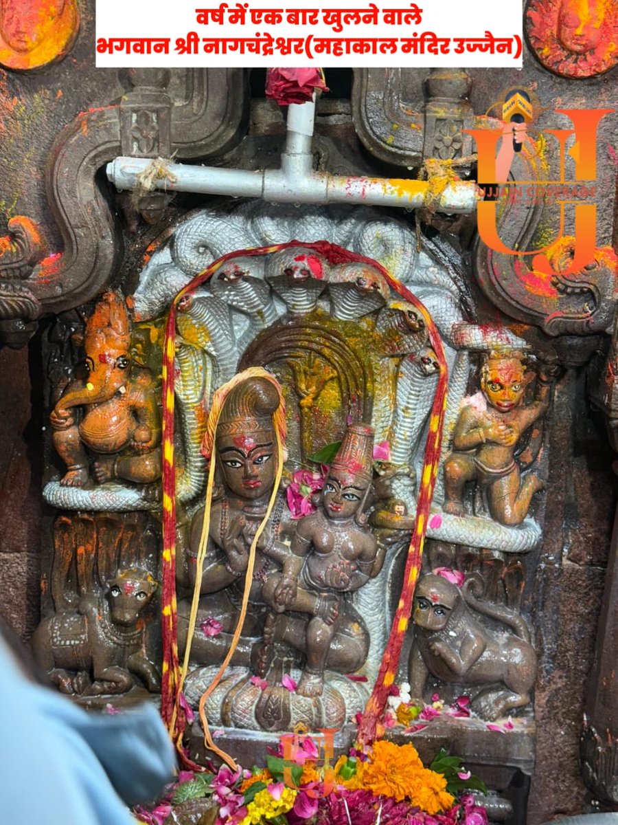 नागपंचमी पर कालसर्प दोष निवारण की पूजा होती है बाबा भोले नाथ ने यही संदेश दिया है की माता पिता में चारो लोक समाहित है माता पिता की सेवा भगवान स्वरुप करें  सभी प्रकार के दोषों से मुक्ति मिलेगी 🙏
जय बाबा भोले नाथ की 🌿🙏
जय बाबा बासुकी नाथ की 🙏
नागपंचमी की हार्दिक शुभकामनाएं 🙏