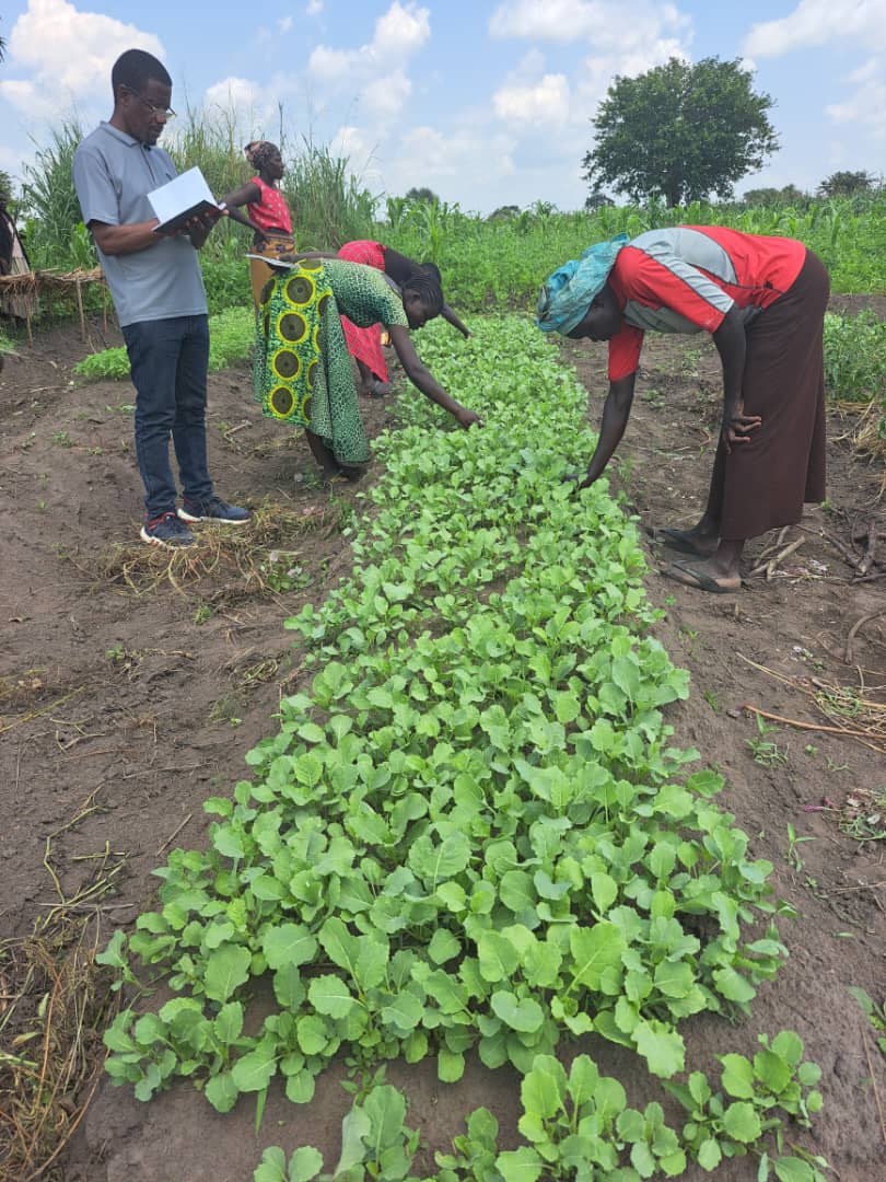 Together with <a href="/OxfaminUganda/">Oxfam in Uganda</a>  and <a href="/pelum_uganda/">PELUM Uganda</a>, we are conducting a monitoring and technical back stopping of the Agroecology Centres of Excellence in Serere, Amuru, and Adjumani districts. 

These centres of Excellence are specializing in Participatory Plant Breeding, local