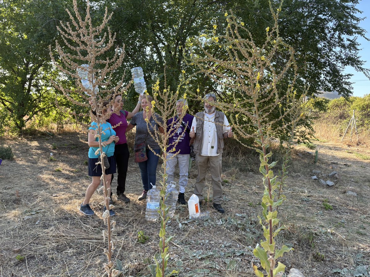 1Millón de Árboles X El Cambio Climático-Alcalá (@alcalaverde1) on Twitter photo 🌳 Hoy realizamos otra jornada de riegos populares en #AlcaláDeHenares.
Disfrutamos viendo cómo los arbolitos siguen aguantando el verano.
Gracias a lxs compas y simpatizantes de Un Millón de Árboles por seguir cuidando el patrimonio verde. 
#RiegosPopulares #UnMillónDeÁrboles 🌳 Hoy realizamos otra jornada de riegos populares en #AlcaláDeHenares.
Disfrutamos viendo cómo los arbolitos siguen aguantando el verano.
Gracias a lxs compas y simpatizantes de Un Millón de Árboles por seguir cuidando el patrimonio verde. 
#RiegosPopulares #UnMillónDeÁrboles