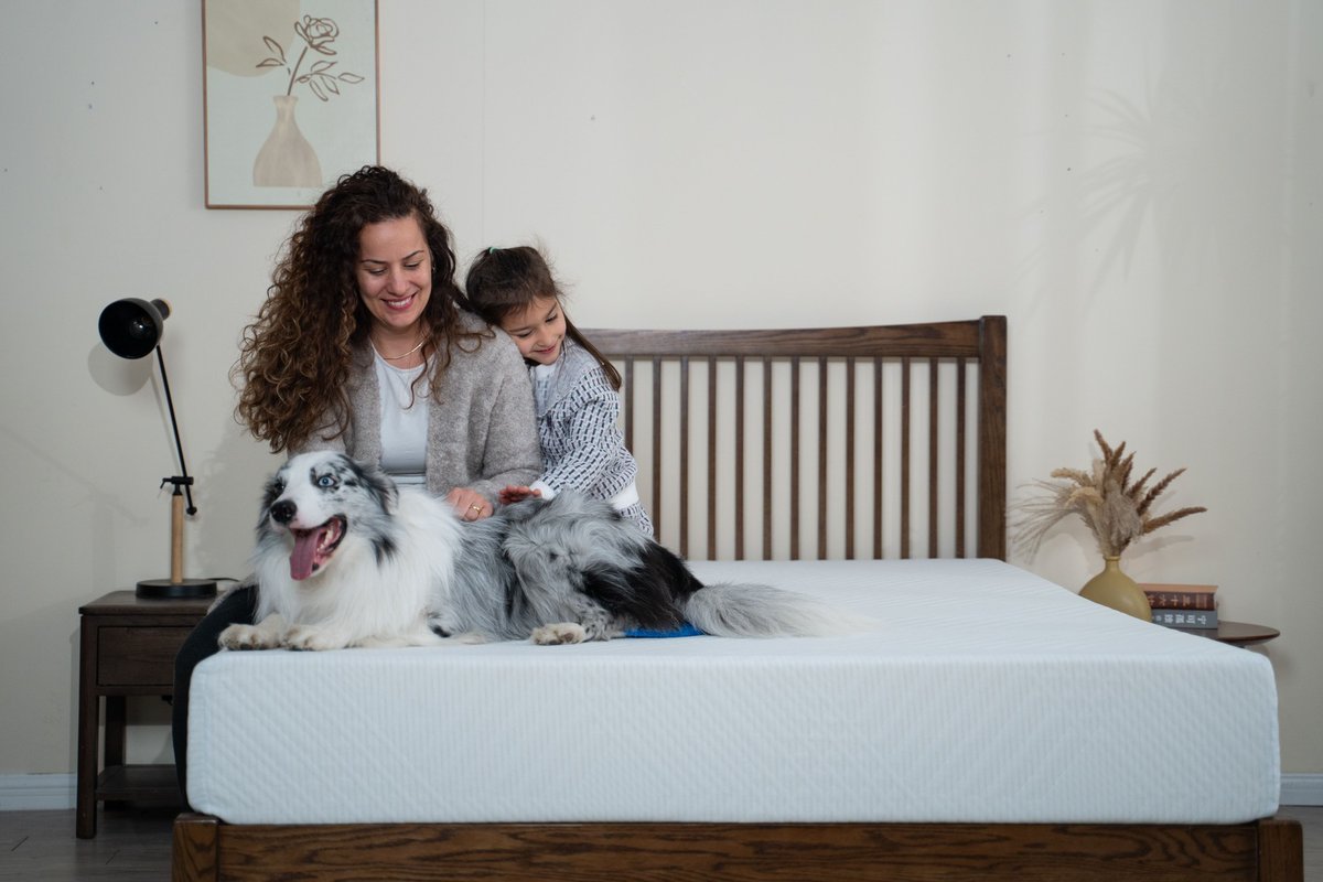 🛌 Looking for the best mattress deal?

✅ 10% OFF Black Series
✅ $25 OFF $500+
✅ $10 OFF sitewide
✅ 11% OFF storewide
🔗 All verified Egohome codes here:
👉 couponcodegroup.com/egohome-mattre…
#Coupons #Egohome #MattressDeals #PromoCodes #SleepUpgrade #CouponCodeGroup