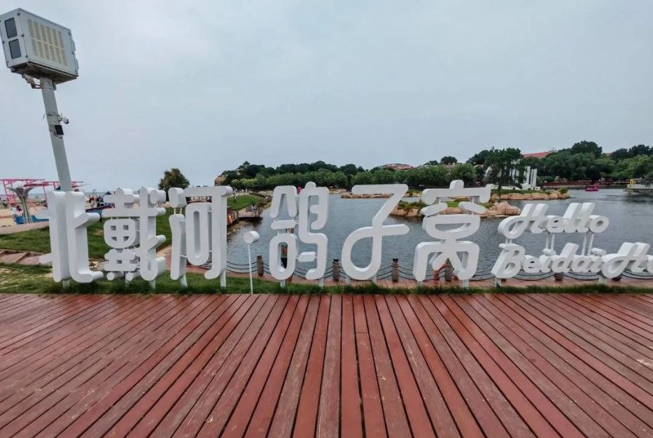 0335秦皇96后夫妻 tweet media