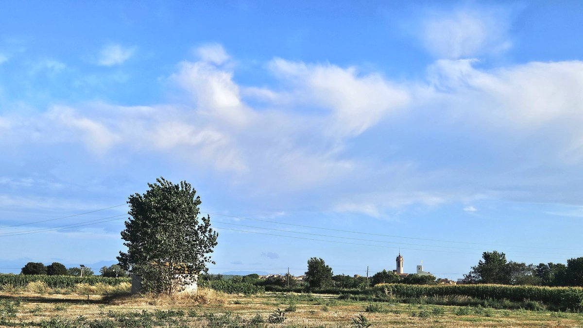 Àngel Galán, el temps amb fotografies. (@angelgalanmont) on Twitter photo Les 08:30 h. a Verges, 23,1 °C. 49% Hr. i vent de N i núvols. <a href="/meteocat/">Meteocat</a> <a href="/sarai_sarroca/">Sarai Sarroca</a> <a href="/sibilafc/">Silvia Ferrer</a> <a href="/AEMET_Cat/">AEMET_Cataluña</a> <a href="/SoniaPapell/">Sònia Papell</a> <a href="/TomeuRigoR/">Tomeu Rigo</a> <a href="/SergiLoras/">Sergi Loras</a> <a href="/eliseuvilaclara/">Eliseu Vilaclara</a> <a href="/acam_cat/">ACAM</a> <a href="/alfons_pc/">Alfons Puertas</a> <a href="/meteorac1/">Meteorologia RAC1</a> <a href="/tempsdemeteo/">Temps de Méteo</a> <a href="/Oriol_RB/">Oriol Rodríguez Ballester</a> <a href="/ARAmeteo/">ARA Méteo</a> <a href="/MeteoredES/">Meteored | tiempo.com</a> <a href="/btveltemps/">btv el temps</a> #meteo <a href="/eltempsTV3/">El temps</a> <a href="/GrupCMI/">ClimaMeteoInfo</a> Les 08:30 h. a Verges, 23,1 °C. 49% Hr. i vent de N i núvols. <a href="/meteocat/">Meteocat</a> <a href="/sarai_sarroca/">Sarai Sarroca</a> <a href="/sibilafc/">Silvia Ferrer</a> <a href="/AEMET_Cat/">AEMET_Cataluña</a> <a href="/SoniaPapell/">Sònia Papell</a> <a href="/TomeuRigoR/">Tomeu Rigo</a> <a href="/SergiLoras/">Sergi Loras</a> <a href="/eliseuvilaclara/">Eliseu Vilaclara</a> <a href="/acam_cat/">ACAM</a> <a href="/alfons_pc/">Alfons Puertas</a> <a href="/meteorac1/">Meteorologia RAC1</a> <a href="/tempsdemeteo/">Temps de Méteo</a> <a href="/Oriol_RB/">Oriol Rodríguez Ballester</a> <a href="/ARAmeteo/">ARA Méteo</a> <a href="/MeteoredES/">Meteored | tiempo.com</a> <a href="/btveltemps/">btv el temps</a> #meteo <a href="/eltempsTV3/">El temps</a> <a href="/GrupCMI/">ClimaMeteoInfo</a>