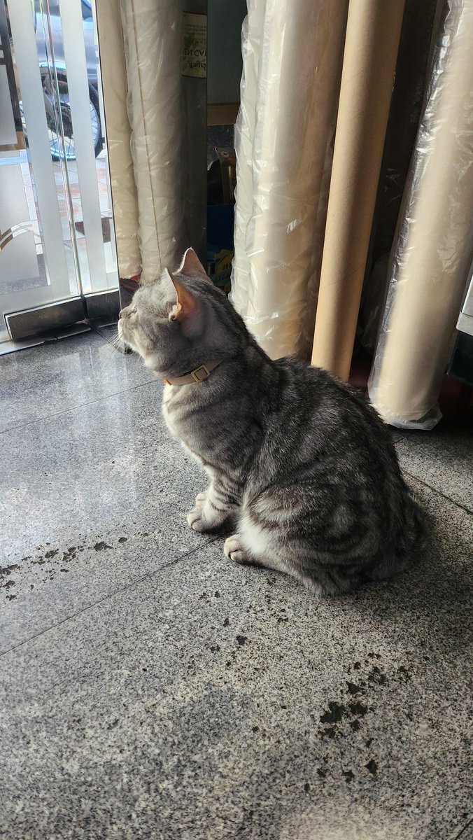 พริกกุ ♡ しゃるるん 🆑 tweet media