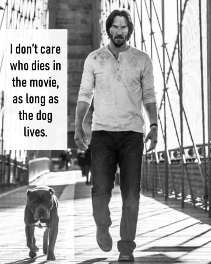 Dog Lovers (@doglovers03) on Twitter photo 