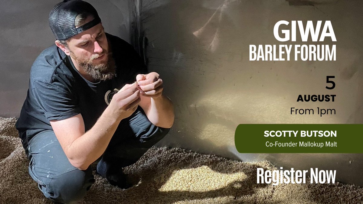 Join us as we dive into the future of the WA barley industry at the 2025 GIWA Barley Forum.

Don’t miss your chance to network with industry leaders. Register now! giwa.org.au/barley-forum-2…

* Hear from maltsters as they unpack how malting and brewing industry trends are shaping