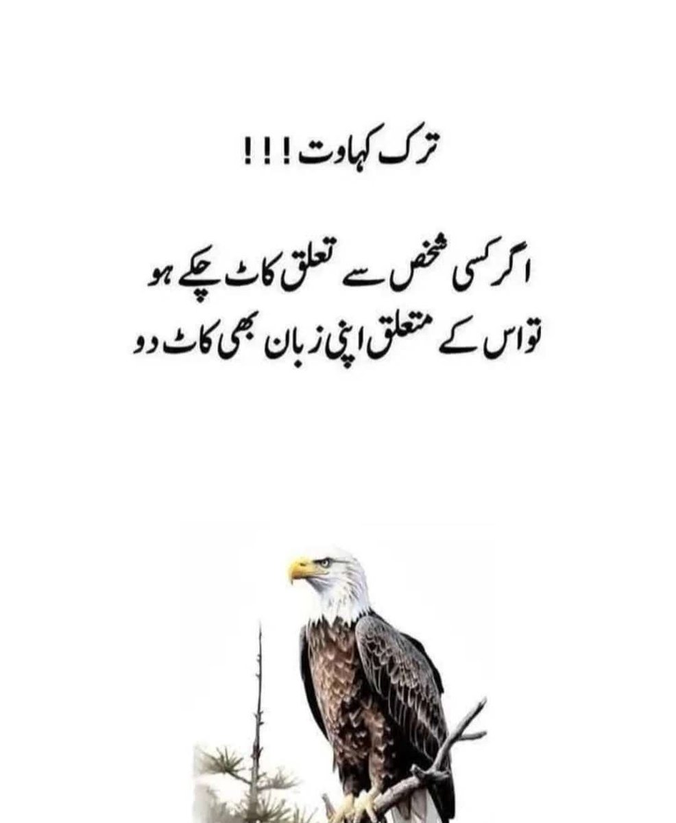 b38640's tweet image. 