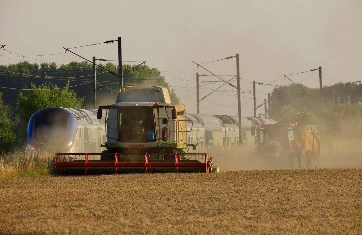 📷 [CONCOURS D'ETE 2025 - LUMIERES SUR MA FERME]
Quand la moisson croise les rails ! 🚄​​
Une scène captée à Viry-Noureuil : la campagne en pleine effervescence, à quelques mètres du passage d’un train. 2 mondes qui se frôlent sans jamais se confondre.
📷 Par Alexandre Lecomte