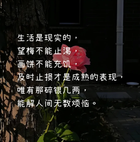 fahamish's tweet photo. 生活是现实的，
望梅不能���渴，
画饼不能充饥，
及时止损才是成熟的表现，
唯有那碎银几两，能解人间无数烦恼。 https://t.co/7QJUVeOViv