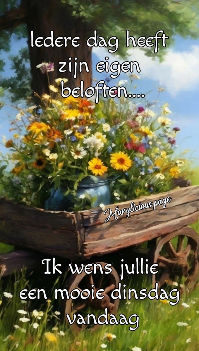 djdakman2's tweet image. Goedemorgen X ik wens jullie een hele fijne dinsdag 🫂☕️☕️🌻🌹🌞