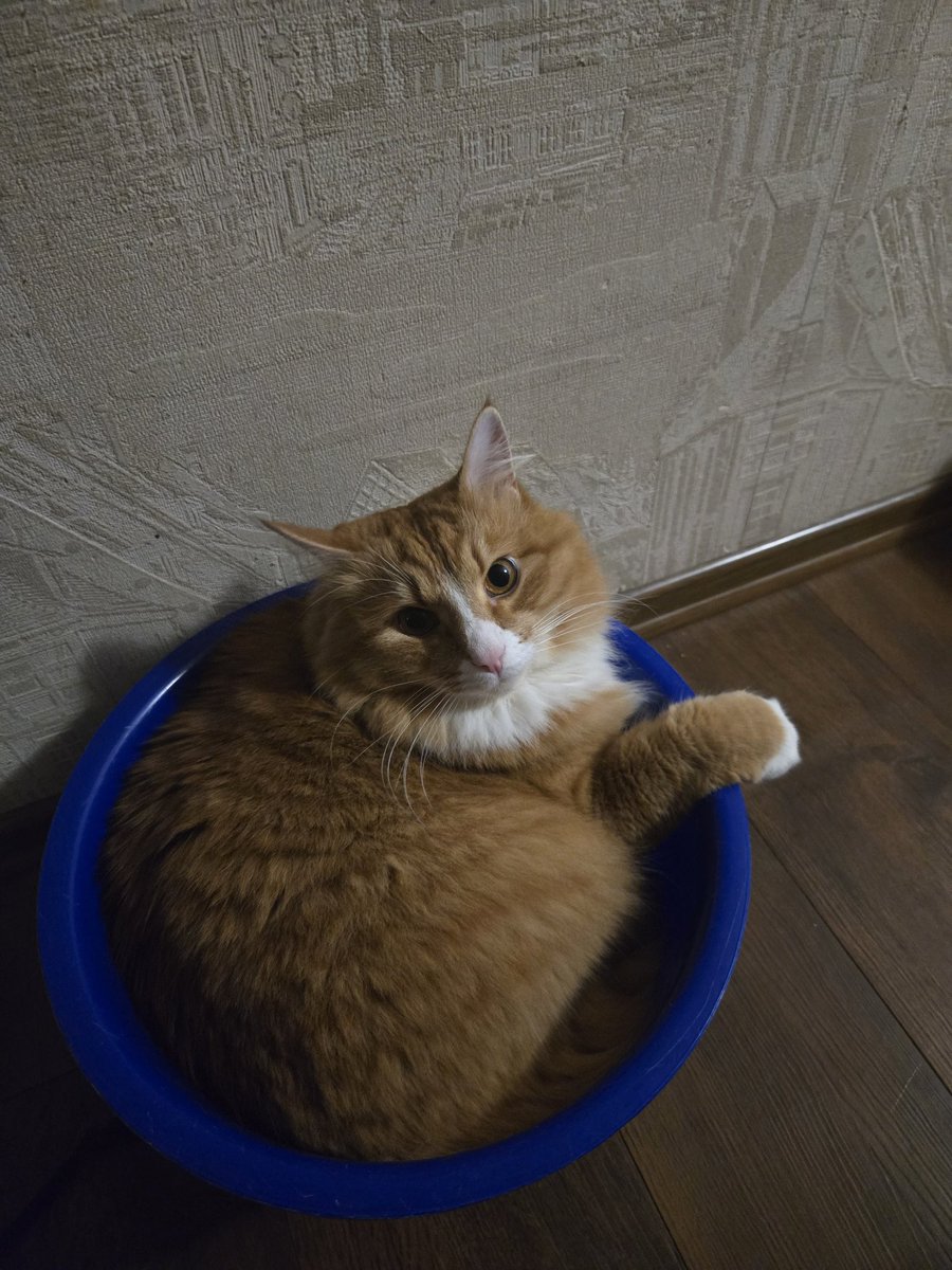 choco_emo's tweet image. С днем рождения нас!