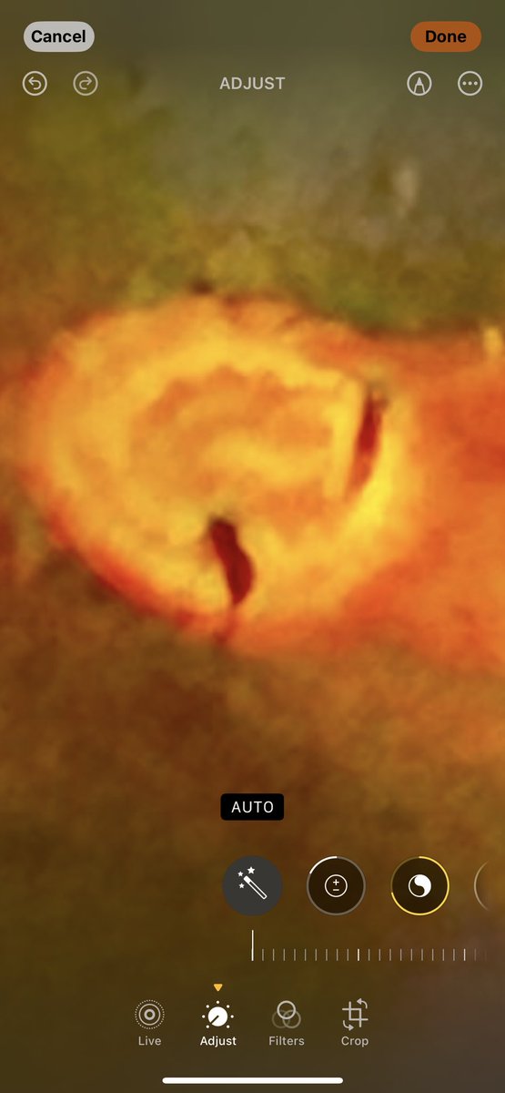 Elelam8's tweet image. Not pics ,evidence! #lightcode