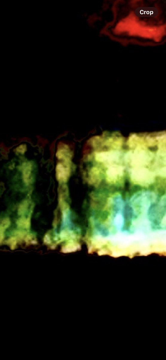 Elelam8's tweet image. Not pics ,evidence! #lightcode